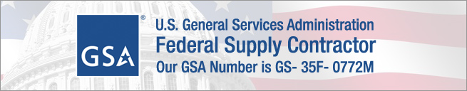GSA IT Services for Government